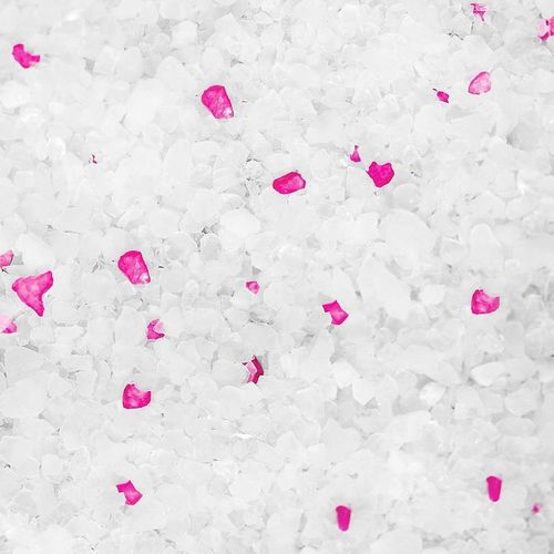 ŻWIREK SILIKONOWY DLA KOTA KOTÓW WYDAJNY ZWIERZOPASJA KOMPLET 5 x 3,8L na Arena.pl