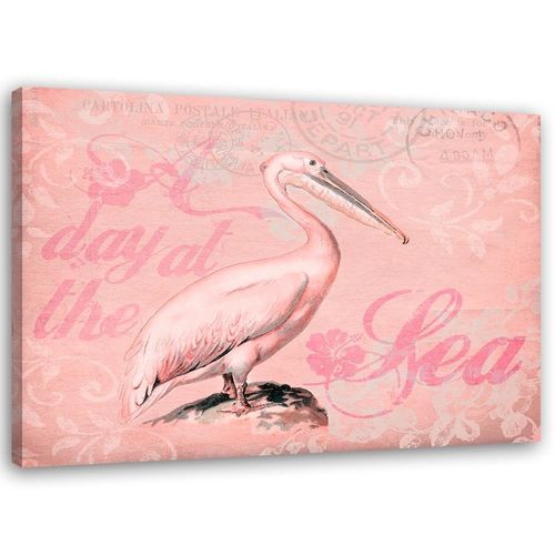 Obraz na płótnie – Canvas, Pelikan 100x70 na Arena.pl