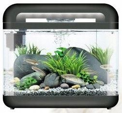 INVITAL EasyTank CASCADE LED 17 litrów czarna na Arena.pl