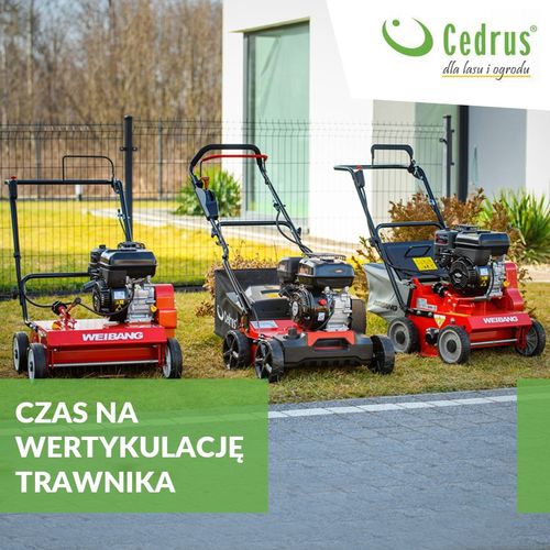 WEIBANG WB486CRB WERTYKULATOR SPALINOWY DO TRAWY PROFI PROFESJONALNY Briggs&Stratton WB486 / WB 486 -  EWIMAX - OFICJALNY DYSTRYBUTOR - AUTORYZOWANY DEALER WEIBANG na Arena.pl