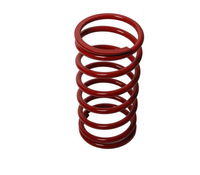 Sprężyna do bujaka 20mm