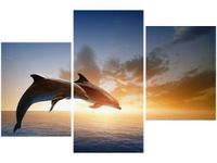 product-compare-58699982