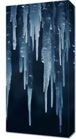 Obraz 30x60cm Zimowy Szept
