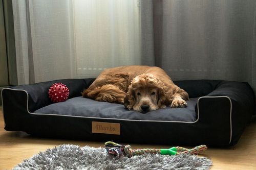 Legowisko dla psa duża kanapa posłanie XXL na Arena.pl
