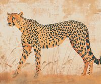 Plakat 60x50cm Gepard w Ruchu
