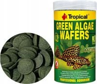 TROPICAL Green Algae Wafers 300g Pokarm Glonojad