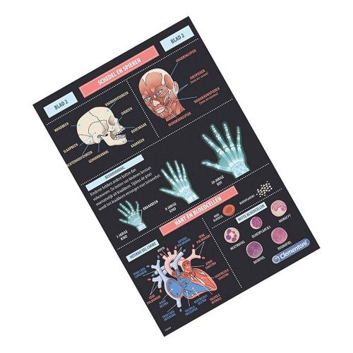 Clementoni - Ciało Ludzkie - Nauka Zabawa Model DNA na Arena.pl