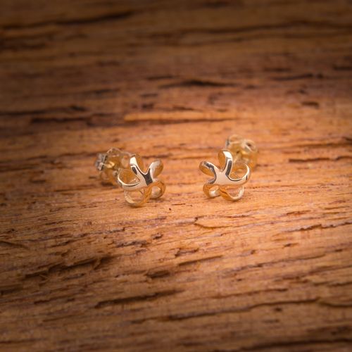 Złote Sztyfty Kwiat na Arena.pl