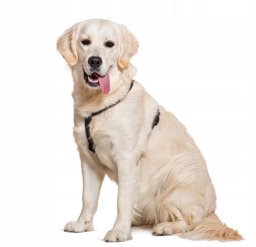 SZELKI GUARD DLA PSA REGULOWANE MOCNE BEZUCISKOWE WYGODNE PORZĄDNE roz. M na Arena.pl