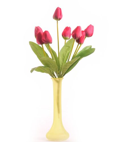 Tulipany w bukiecie czerwone na Arena.pl