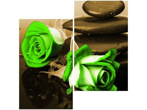 60X60CM WENGE LIMONKA DWU OBRAZ ŚCIAN na Arena.pl