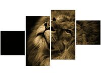 product-compare-58695064