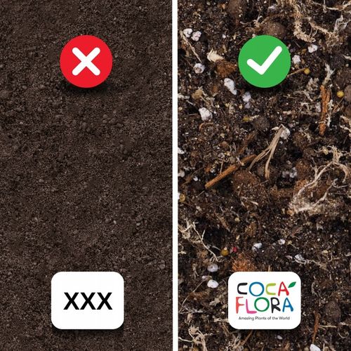 Specjalistyczne Podłoże Ziemia Do DZBANECZNIKÓW Mix PREMIUM na Arena.pl