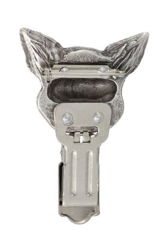 Chihuahua - klips - 297 na Arena.pl