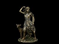 product-compare-53637052