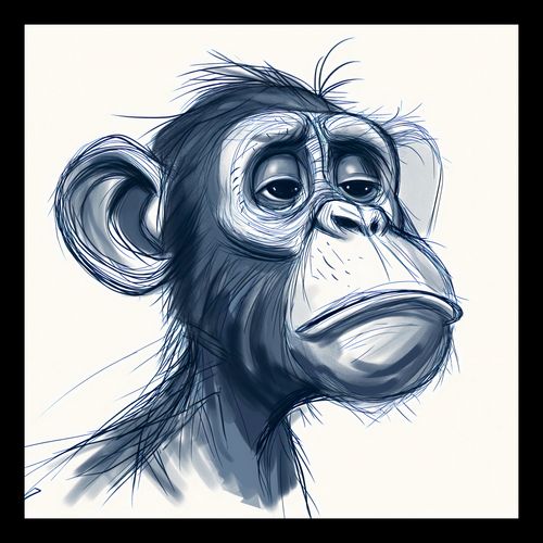 Plakat 30x30cm Zaduma na Arena.pl