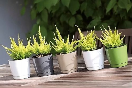 Doniczka Donica Coubi z podstawkiem DUOP120 Biała na Arena.pl