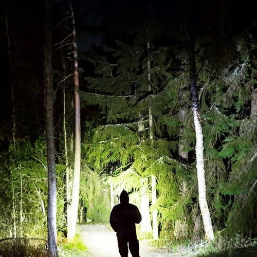 LATARKA TAKTYCZNA MOCNA MISS KITCHEN 8000 lm na Arena.pl