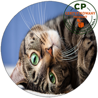 Opłatek na tort Koty