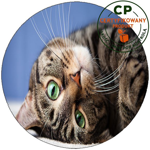 Opłatek na tort Koty zdjęcie 1