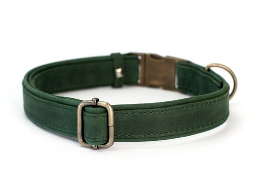 Grawerowana Obroża dla Psa Skórzana z Metalową Klamrą, Zielony kolor na Arena.pl