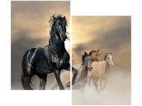 80X70CM OGIER DUO OBRAZ