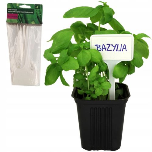 60x ETYKIETY TABLICZKI DO ROŚLIN SADZONEK + MARKER na Arena.pl