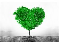 OBRAZ DRUK TREE OF LOVE MIŁOŚĆ SERCE PRZYRODA