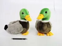 PLUSZ kaczka, 28 cm