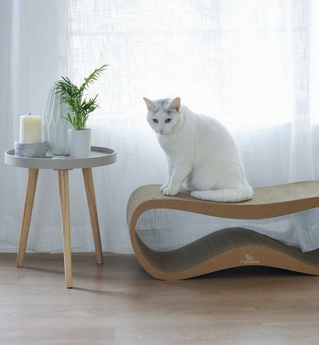 MyKotty Drapak Lui brązowy na Arena.pl