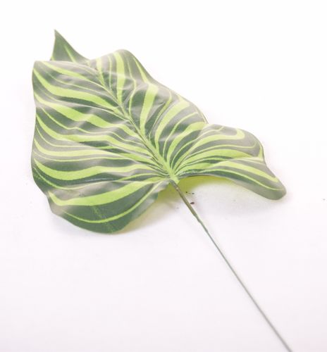 Liść strzałka zielony na Arena.pl