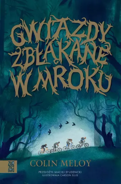 Gwiazdy Zbłąkane W Mroku zdjęcie 1