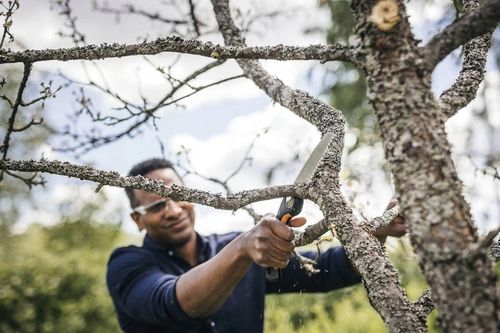 FISKARS Piła ręczna do drewna - składana SW68 15cm 1067552 na Arena.pl