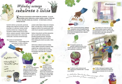 Sadź, uprawiaj i baw się dobrze na Arena.pl