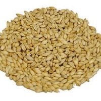 Słód pale ale 5,5-7,5 EBC Weyermann 1 kg