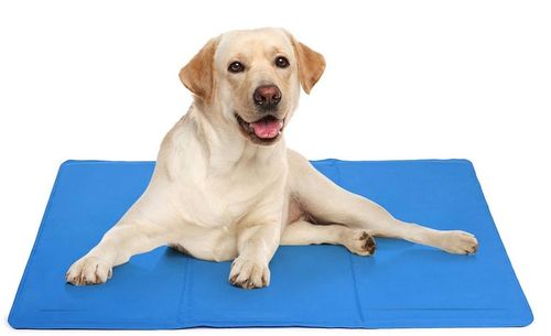 MATA CHŁODZĄCA DLA PSA DUŻA XXL 110x70cm żelowa legowisko PREMIUM GRUBA 4kg na Arena.pl