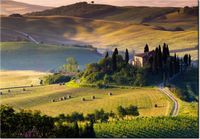 product-compare-58709885