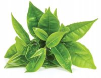 Podstawka ceramiczna pod chasen do matchy czarna