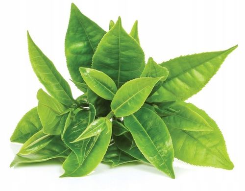 Podstawka ceramiczna pod chasen do matchy czarna na Arena.pl