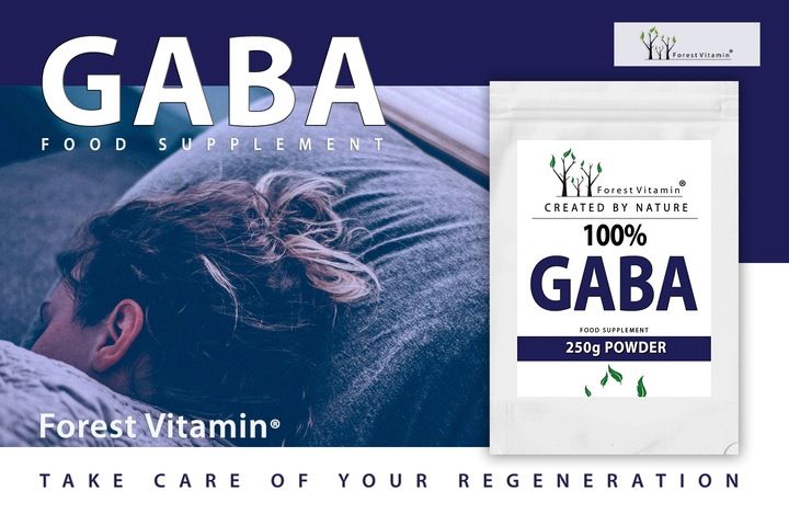 GABA KWAS GAMMA AMINOMASŁOWY SEN ODPOCZYNEK REGENERACJA SPOKÓJ DUCHA zdjęcie 9