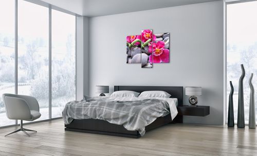 Obraz Na Płótnie - Storczyk Kamień - 95X80 Cm - Cb95X80-0465 na Arena.pl