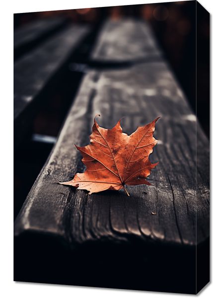 Obraz 40x60cm Pojedynczy Liść zdjęcie 1