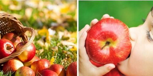 Jabłoń PIROS wczesna PRZEPYSZNA sierpniowa odmiana na Arena.pl