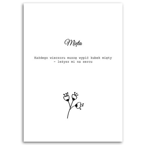 Obraz na płótnie – Canvas, Mięta 40x60 na Arena.pl