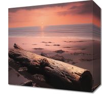 product-compare-59476889