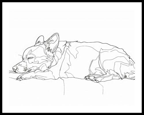 Plakat 65x50cm Śpiący Psiak na Arena.pl