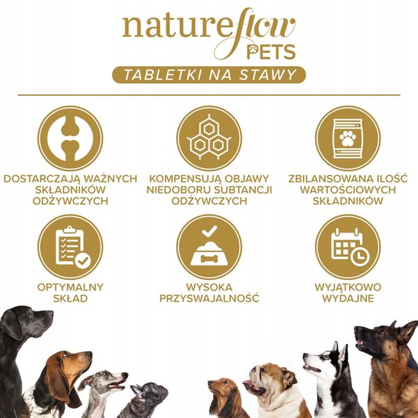 Suplement diety dla psów na stawy NatureFlow Pets zdjęcie 3