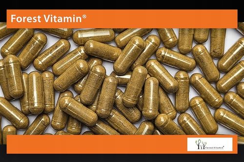 FOREST ASHWAGANDHA EKSTRAKT 700mg 9% NAJMOCNIEJSZA na Arena.pl