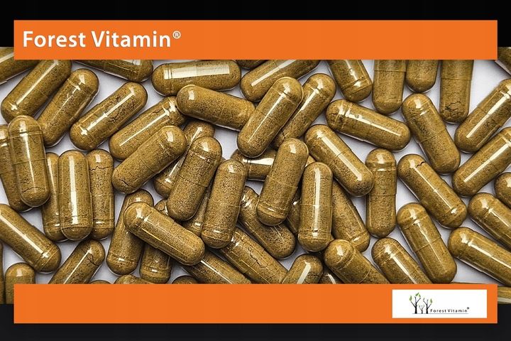 FOREST ASHWAGANDHA EKSTRAKT 700mg 9% NAJMOCNIEJSZA zdjęcie 2