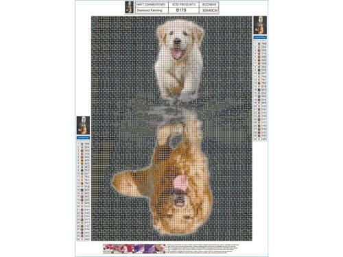 PIES W MOZAICE DIAMENTOWEJ na Arena.pl